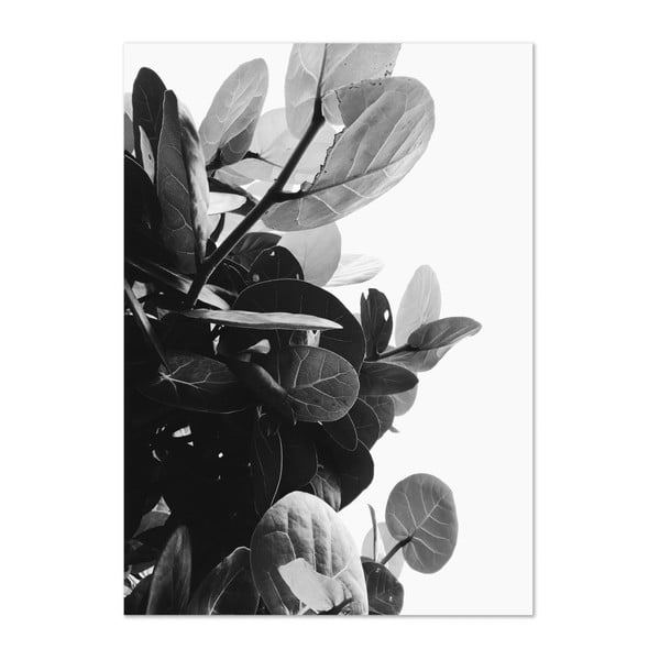 Plakát HF Living Botanic Bush, 50 x 70 cm