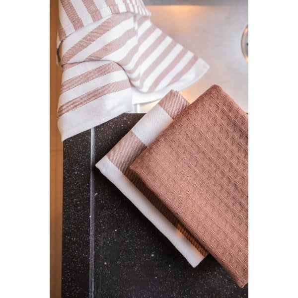 Памучни кърпи за съдове в комплект от 3 бр. 51x74 cm Marra – Tiseco Home Studio-image-2