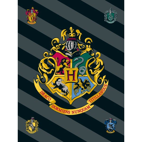 Бебешко одеяло от флийс 100x150 cm Harry Potter – Jerry Fabrics