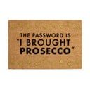 Килимче от кокосови влакна 40x60 cm Prosecco - Premier Housewares