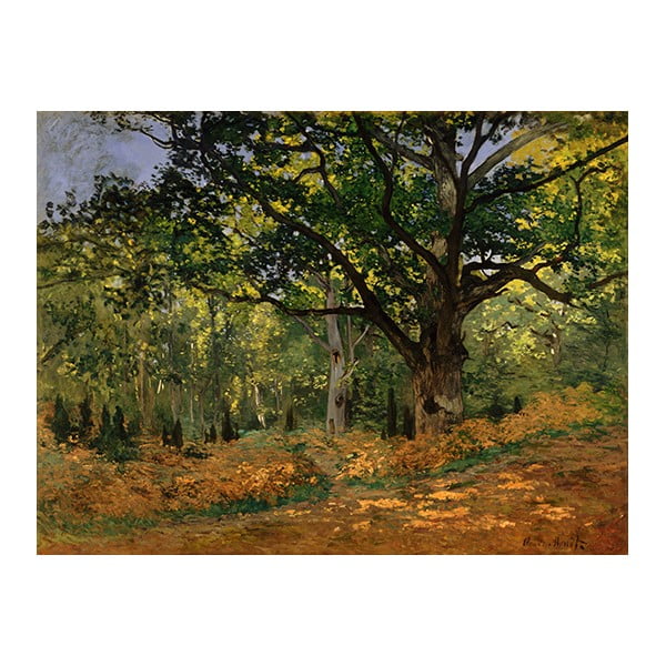 Репродукция на картина на Клод Моне - , 70 x 50 cm The Bodmer Oak, Fontainebleau Forest - Fedkolor