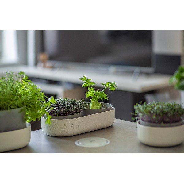 Пластмасова купичка за покълване Microgreens + Regrow – Plastia-image-2