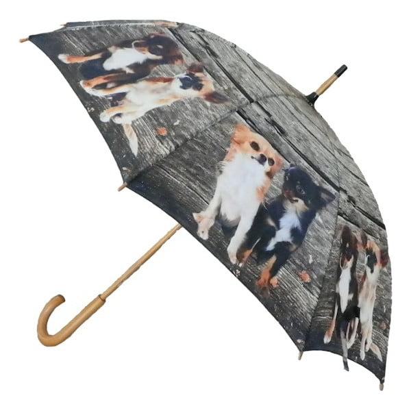 Deštník Chihuahua Family