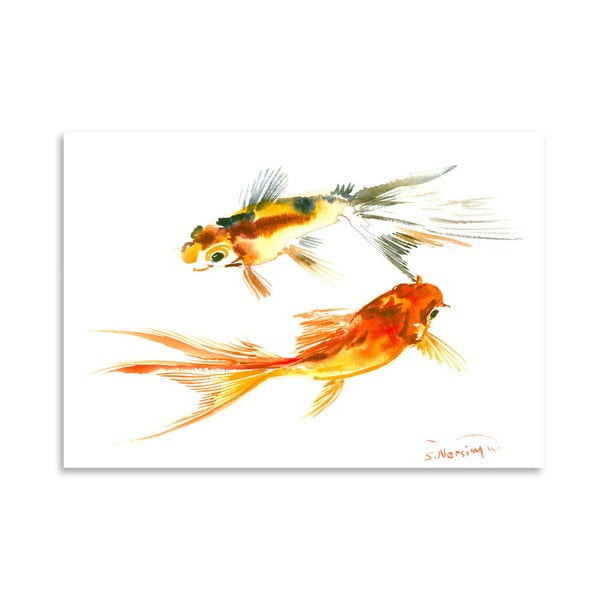 Plakát Goldfish Koi