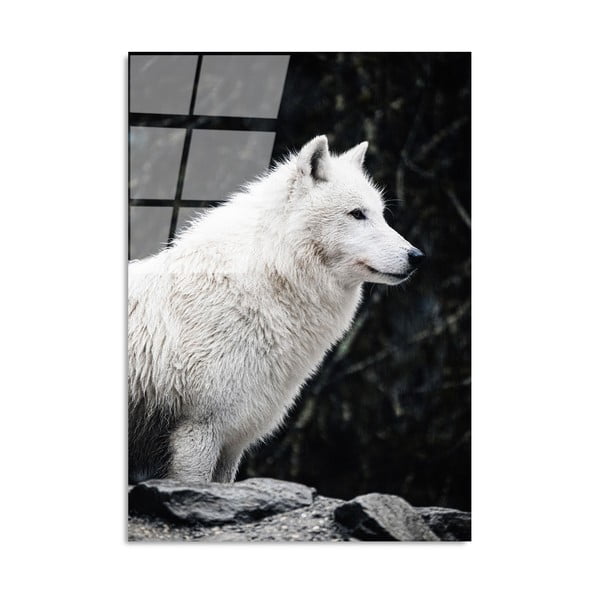 Живопис върху стъкло 70x100 cm White Wolf - Wallity