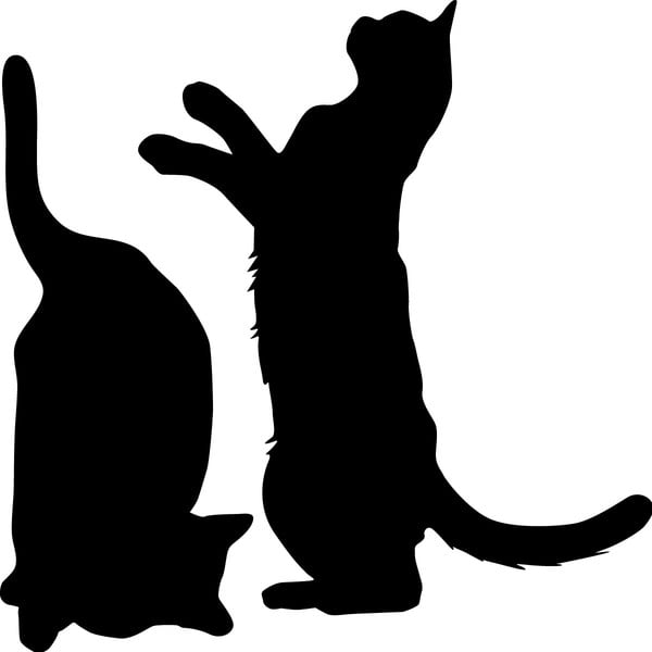 Sada 2 samolepek Ambiance Cute Cats-image-1