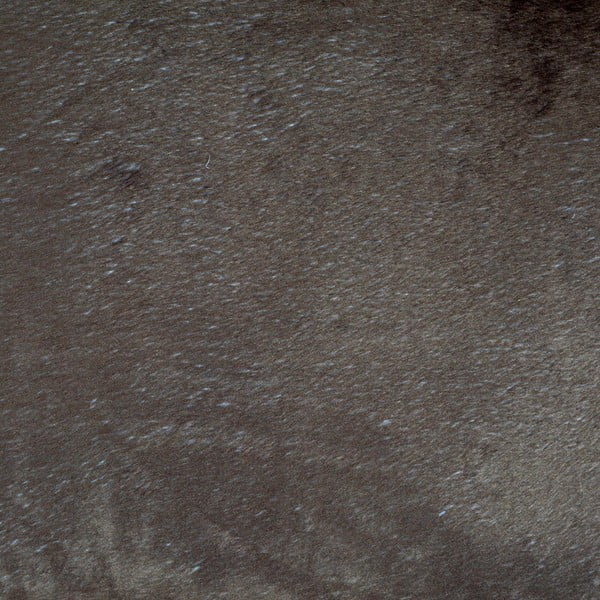 Светлокафяво легло за куче ø 50 cm – Love Story-image-4