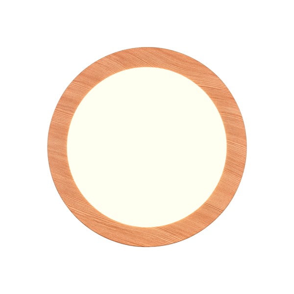 LED осветление за таван в естествен цвят ø 26 cm Camillus - Reality-image-3