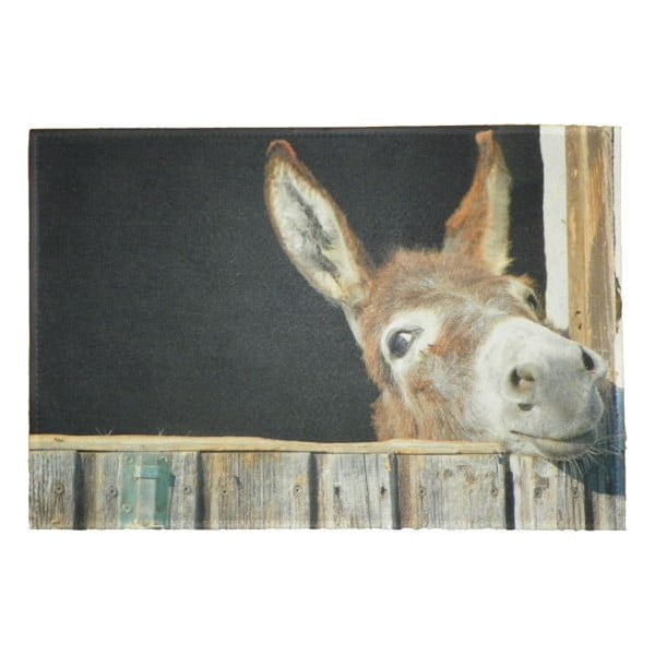 Předložka Donkey 75x50 cm