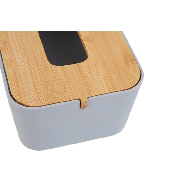 Пластмасова кутия за носни кърпички Canyon - Premier Housewares-image-1