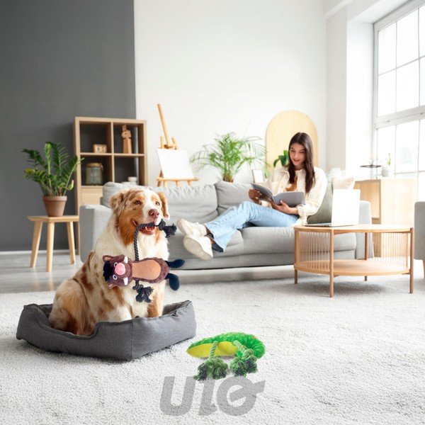Играчка за куче Chameleon – Love Story-image-1