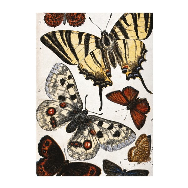 Utěrka na nádobí Jay Biologica Butterflies