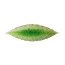 Глинена тава 6x18 cm Riviera – Costa Nova