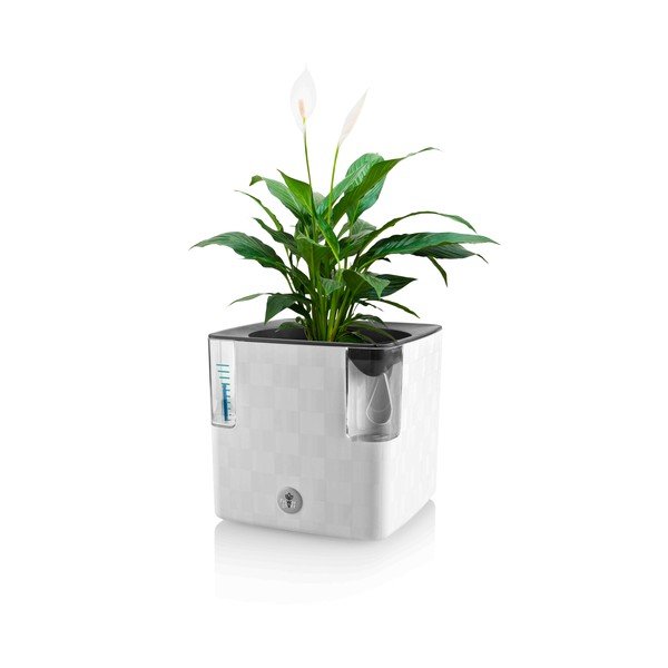 Самонапояваща пластмасова саксия за билки Cobble – Flower Lover-image-2