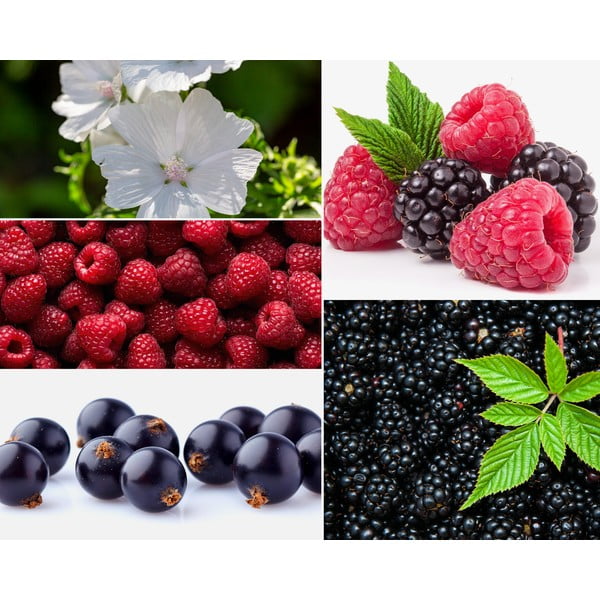 Свещ от соев восък с време на горене 35 h Mûre-Musc – Privé Home-image-2