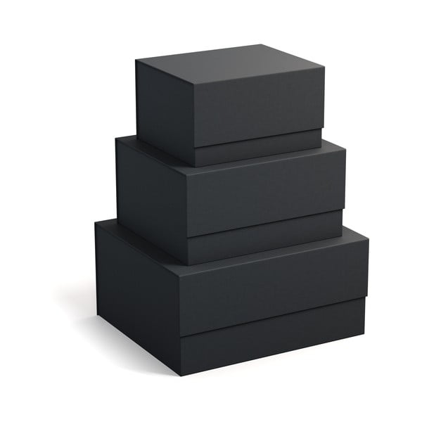 Картонени кутии за съхранение в комплект от 3 броя с капак Ilse - Bigso Box of Sweden