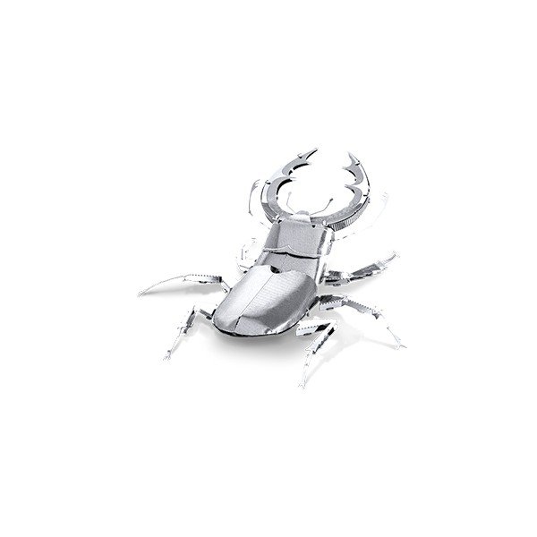 Model Stag Beetle