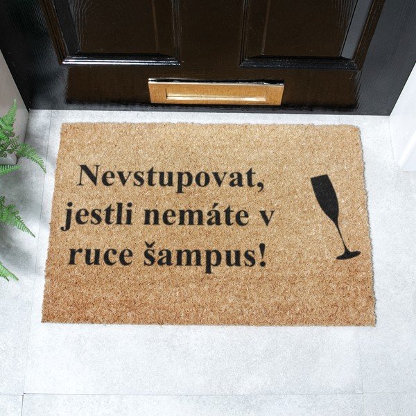 Изтривалка от кокосови влакна 40x60 cm Šampus – Artsy Doormats-image-2