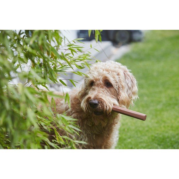 Играчка за куче Ramo Sandalwood – MiaCara-image-1
