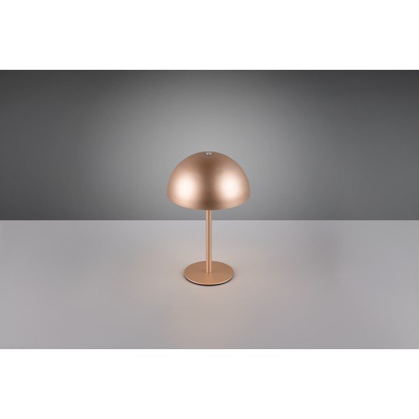 LED настолна лампа в бронзов цвят с метален абажур (височина 21 cm) Munoz – Reality-image-2