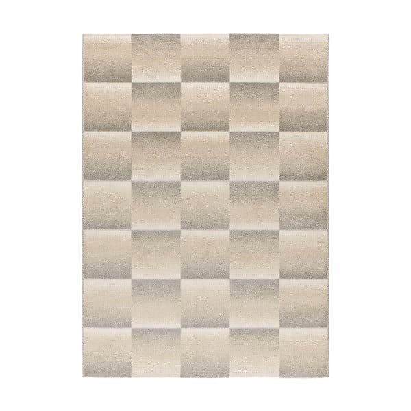 Сиво-кремав килим 160x230 cm Sensation – Universal