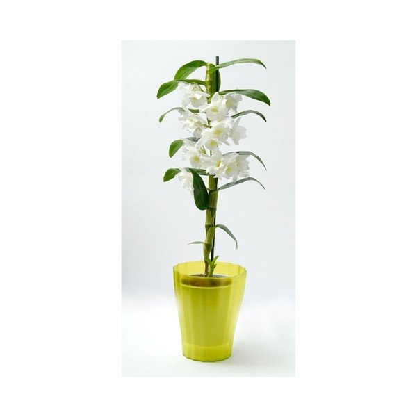 Зелена саксия Trasluscent Ola, ø 13,4 cm - Plastia-image-1