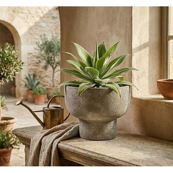 Теракотена саксия за цветя ø 30 cm Hector – Bizzotto-image-1