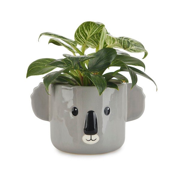 Керамичен съд ø 13,5 cm Koala - Balvi-image-1