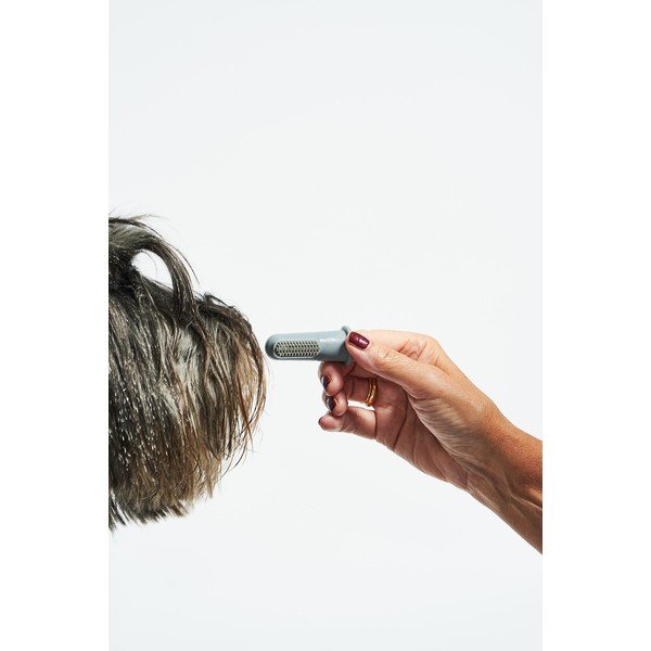 Четки за зъби за кучев комплект Dito – MiaCara-image-4