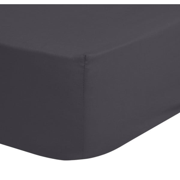 Тъмно сив памучен чаршаф с ластик , 160 x 200 cm - Good Morning-image-1