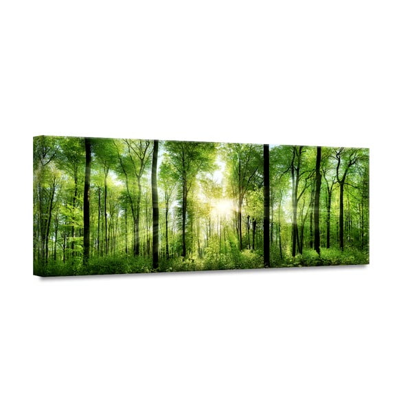 Изображение Glasspik Nature , 50 x 125 cm Sunlight - Styler