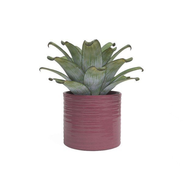 Керамично ръчно изработено покритие за кашпа ø 25 cm Fortuna – Artevasi