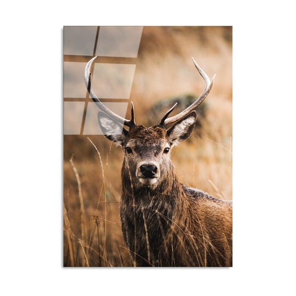 Живопис върху стъкло 70x100 cm Deer - Wallity