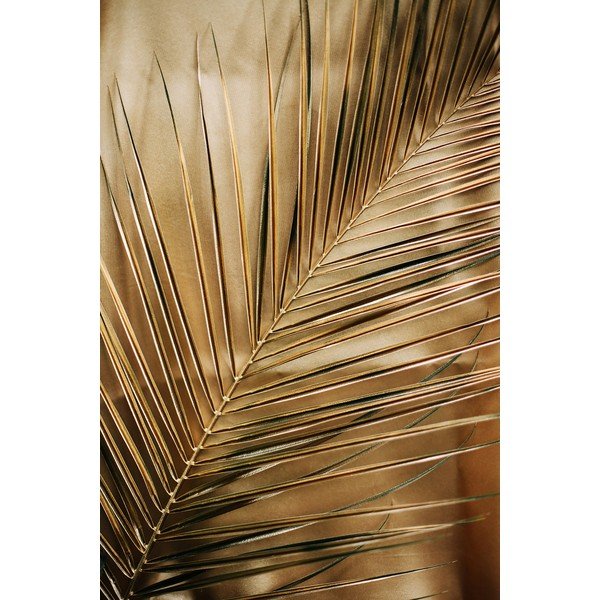 Печатна стъклопис картина 80x120 cm Gold Palm  – Styler