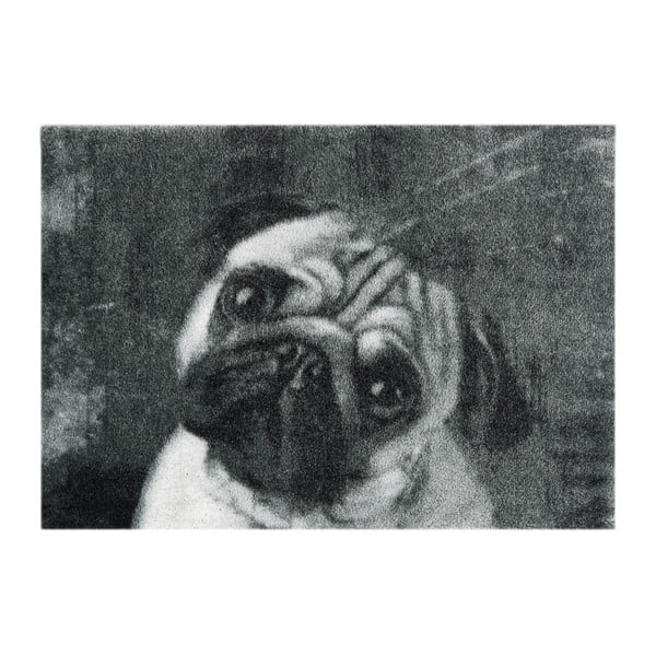 Šedá rohožka Hanse Home StateMat Dog, 50 x 75 cm