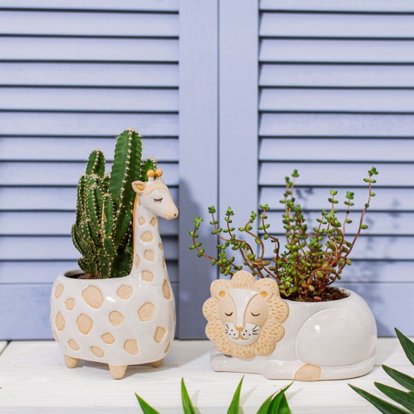 Бели и бежови саксии , ø 7 см Leo Lion - Sass & Belle-image-1