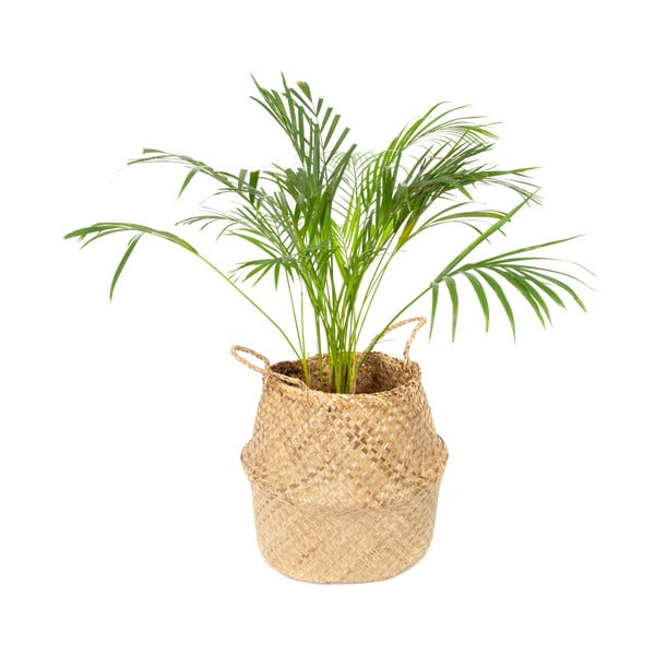 Кошница за съхранение от светла морска трева , ⌀ 36 cm - Compactor-image-4