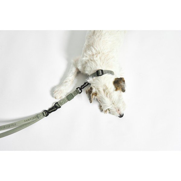 Зелен нашийник L/XL дължина 40 cm Modena Grolive L/XL – MiaCara-image-4