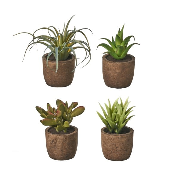 Изкуствени растения в комплект от 4 броя (височина 10 см) Cactus - Casa Selección