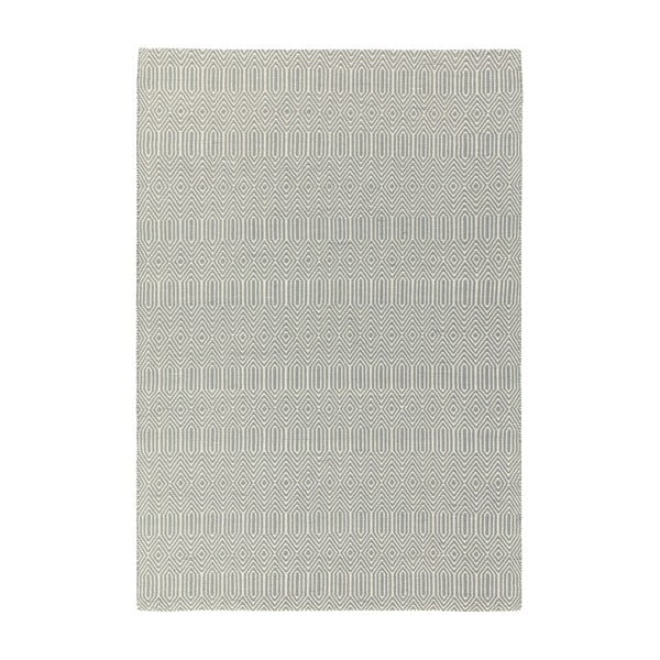 Светлосив вълнен килим 160x230 cm Sloan - Asiatic Carpets