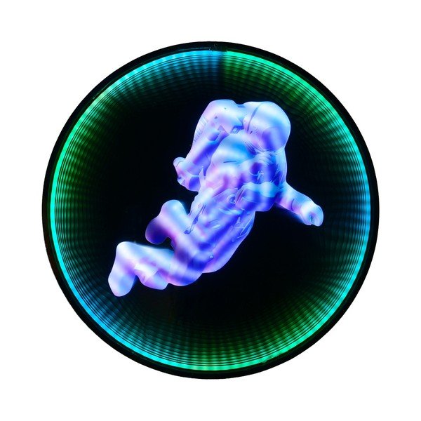 Черна стенна светлинна декорация за контакт ø 60 cm Duke – Reality