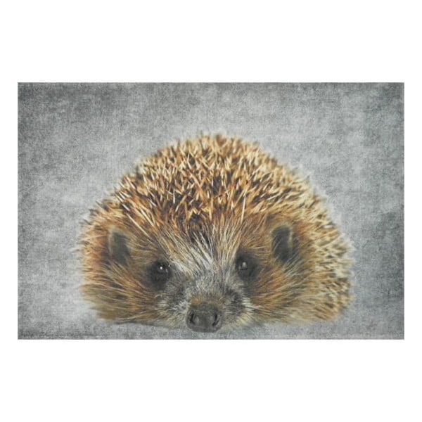 Předložka Hedgehog 75x50 cm