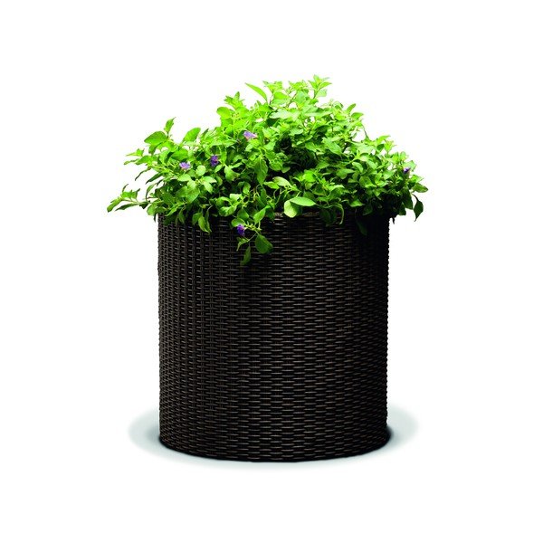 Кафява саксия за растения, ø 35 cm - Keter-image-1