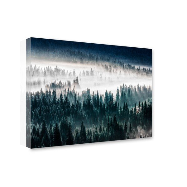 Изображение Glasspik Misty Forest, 80 x 120 cm - Styler-image-1