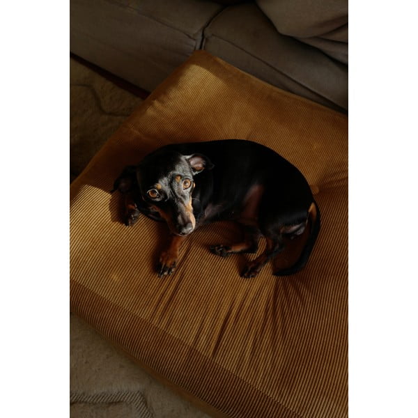 Табуретка More - Karup Design-image-4