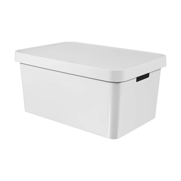 Бяла кутия за съхранение с капак , 45 л Infinity - Curver