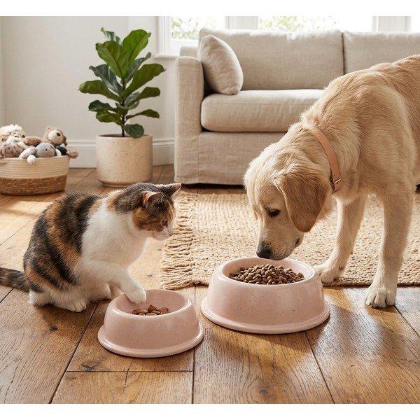 Каменна купа за домашни любимци ø 16 cm - Casafina-image-1