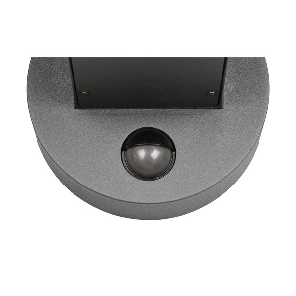 Стенно външно осветително тяло (височина 24,5 cm) Fraser – Trio-image-3