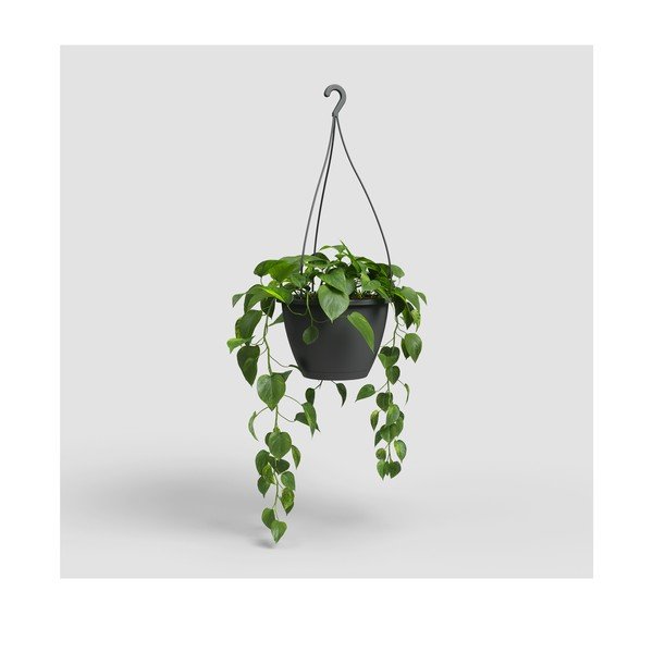 Пластмасова саксия за цветя ø 31 cm Algarve – Artevasi-image-4