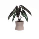 Керамична саксия за цветя ø 14 cm Diana – Artevasi